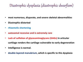 • most numerous, disparate, and severe skeletal abnormalities
• Diastrophic-distorted
• rhizomelic shortening
• autosomal recessive and is extremely rare
• Lack of sulfation of glycosaminoglycans (GAGs) in articular
cartilage renders the cartilage vulnerable to early degeneration
• Intelligence is normal.
• double-layered manubrium, which is specific to this dysplasia
 