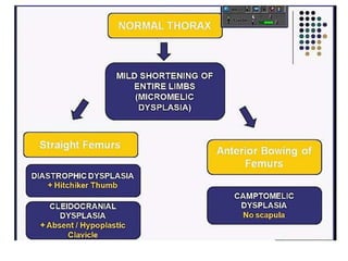 Skeletal dysplasias and dwarfism