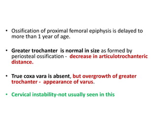 • Ossification of proximal femoral epiphysis is delayed to
more than 1 year of age.
• Greater trochanter is normal in size as formed by
periosteal ossification - decrease in articulotrochanteric
distance.
• True coxa vara is absent, but overgrowth of greater
trochanter - appearance of varus.
• Cervical instability-not usually seen in this
 