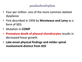 • Four per million- one of the more common skeletal
dysplasias
• First described in 1959 by Maroteaux and Lamy as a
form of SED.
• Mutation in COMP
• Premature death of physeal chondrocytes results in
decreased linear growth
• Late-onset physical findings and milder spinal
involvement-distinct from SED
 
