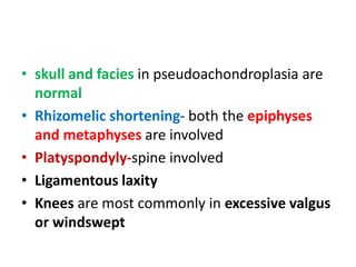 • skull and facies in pseudoachondroplasia are
normal
• Rhizomelic shortening- both the epiphyses
and metaphyses are involved
• Platyspondyly-spine involved
• Ligamentous laxity
• Knees are most commonly in excessive valgus
or windswept
 