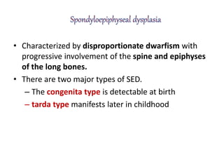 • Characterized by disproportionate dwarfism with
progressive involvement of the spine and epiphyses
of the long bones.
• There are two major types of SED.
– The congenita type is detectable at birth
– tarda type manifests later in childhood
 
