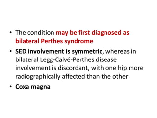 • The condition may be first diagnosed as
bilateral Perthes syndrome
• SED involvement is symmetric, whereas in
bilateral Legg-Calvé-Perthes disease
involvement is discordant, with one hip more
radiographically affected than the other
• Coxa magna
 