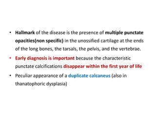 • Hallmark of the disease is the presence of multiple punctate
opacities(non specific) in the unossified cartilage at the ends
of the long bones, the tarsals, the pelvis, and the vertebrae.
• Early diagnosis is important because the characteristic
punctate calcifications disappear within the first year of life
• Peculiar appearance of a duplicate calcaneus (also in
thanatophoric dysplasia)
 