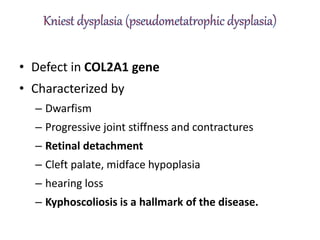 • Defect in COL2A1 gene
• Characterized by
– Dwarfism
– Progressive joint stiffness and contractures
– Retinal detachment
– Cleft palate, midface hypoplasia
– hearing loss
– Kyphoscoliosis is a hallmark of the disease.
 