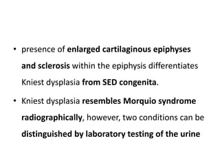 • presence of enlarged cartilaginous epiphyses
and sclerosis within the epiphysis differentiates
Kniest dysplasia from SED congenita.
• Kniest dysplasia resembles Morquio syndrome
radiographically, however, two conditions can be
distinguished by laboratory testing of the urine
 