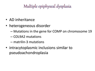 • AD inheritance
• heterogeneous disorder
– Mutations in the gene for COMP on chromosome 19
– COL9A2 mutations
– matrilin-3 mutations
• intracytoplasmic inclusions similar to
pseudoachondroplasia
 