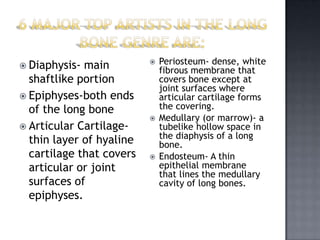  Diaphysis- main            Periosteum- dense, white
                              fibrous membrane that
  shaftlike portion           covers bone except at
                              joint surfaces where
 Epiphyses-both ends         articular cartilage forms
  of the long bone            the covering.
                             Medullary (or marrow)- a
 Articular Cartilage-        tubelike hollow space in
                              the diaphysis of a long
  thin layer of hyaline       bone.
  cartilage that covers      Endosteum- A thin
  articular or joint          epithelial membrane
                              that lines the medullary
  surfaces of                 cavity of long bones.
  epiphyses.
 
