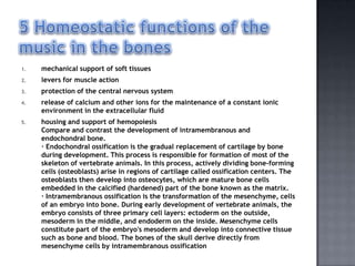1.   mechanical support of soft tissues
2.   levers for muscle action
3.   protection of the central nervous system
4.   release of calcium and other ions for the maintenance of a constant ionic
     environment in the extracellular fluid
5.   housing and support of hemopoiesis
     Compare and contrast the development of intramembranous and
     endochondral bone.
     · Endochondral ossification is the gradual replacement of cartilage by bone
     during development. This process is responsible for formation of most of the
     skeleton of vertebrate animals. In this process, actively dividing bone-forming
     cells (osteoblasts) arise in regions of cartilage called ossification centers. The
     osteoblasts then develop into osteocytes, which are mature bone cells
     embedded in the calcified (hardened) part of the bone known as the matrix.
     · Intramembranous ossification is the transformation of the mesenchyme, cells
     of an embryo into bone. During early development of vertebrate animals, the
     embryo consists of three primary cell layers: ectoderm on the outside,
     mesoderm in the middle, and endoderm on the inside. Mesenchyme cells
     constitute part of the embryo's mesoderm and develop into connective tissue
     such as bone and blood. The bones of the skull derive directly from
     mesenchyme cells by intramembranous ossification
 