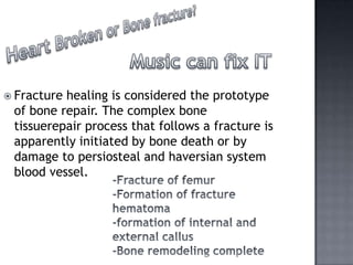  Fracturehealing is considered the prototype
 of bone repair. The complex bone
 tissuerepair process that follows a fracture is
 apparently initiated by bone death or by
 damage to persiosteal and haversian system
 blood vessel.
 