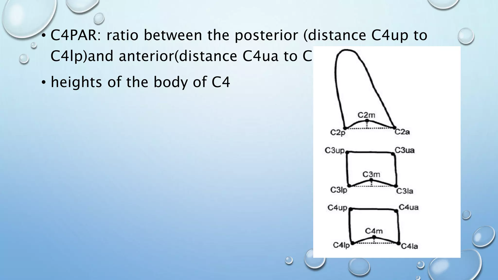 • C4PAR: ratio between the posterior (distance C4up to
C4lp)and anterior(distance C4ua to C4la )
• heights of the body of C4
 