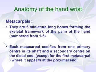 Anatomy of the hand wrist
Metacarpals:
• They are 5 miniature long bones forming the
skeletal framework of the palm of the hand
(numbered from 1-5).
• Each metacarpal ossifies from one primary
centre in its shaft and a secondary centre on
the distal end (except for the first metacarpal
) where it appears at the proximal end.
 