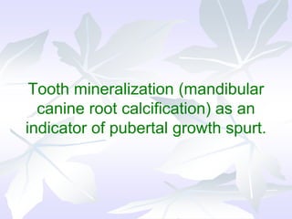 Tooth mineralization (mandibular
canine root calcification) as an
indicator of pubertal growth spurt.
 