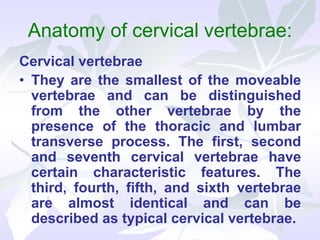 Anatomy of cervical vertebrae:
Cervical vertebrae
• They are the smallest of the moveable
vertebrae and can be distinguished
from the other vertebrae by the
presence of the thoracic and lumbar
transverse process. The first, second
and seventh cervical vertebrae have
certain characteristic features. The
third, fourth, fifth, and sixth vertebrae
are almost identical and can be
described as typical cervical vertebrae.
 