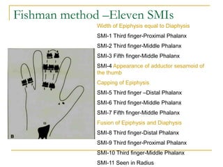 Fishman method –Eleven SMIs
Width of Epiphysis equal to Diaphysis
SMI-1 Third finger-Proximal Phalanx
SMI-2 Third finger-Middle Phalanx
SMI-3 Fifth finger-Middle Phalanx
SMI-4 Appearance of adductor sesamoid of
the thumb
Capping of Epiphysis
SMI-5 Third finger –Distal Phalanx
SMI-6 Third finger-Middle Phalanx
SMI-7 Fifth finger-Middle Phalanx
Fusion of Epiphysis and Diaphysis
SMI-8 Third finger-Distal Phalanx
SMI-9 Third finger-Proximal Phalanx
SMI-10 Third finger-Middle Phalanx
SMI-11 Seen in Radius
 
