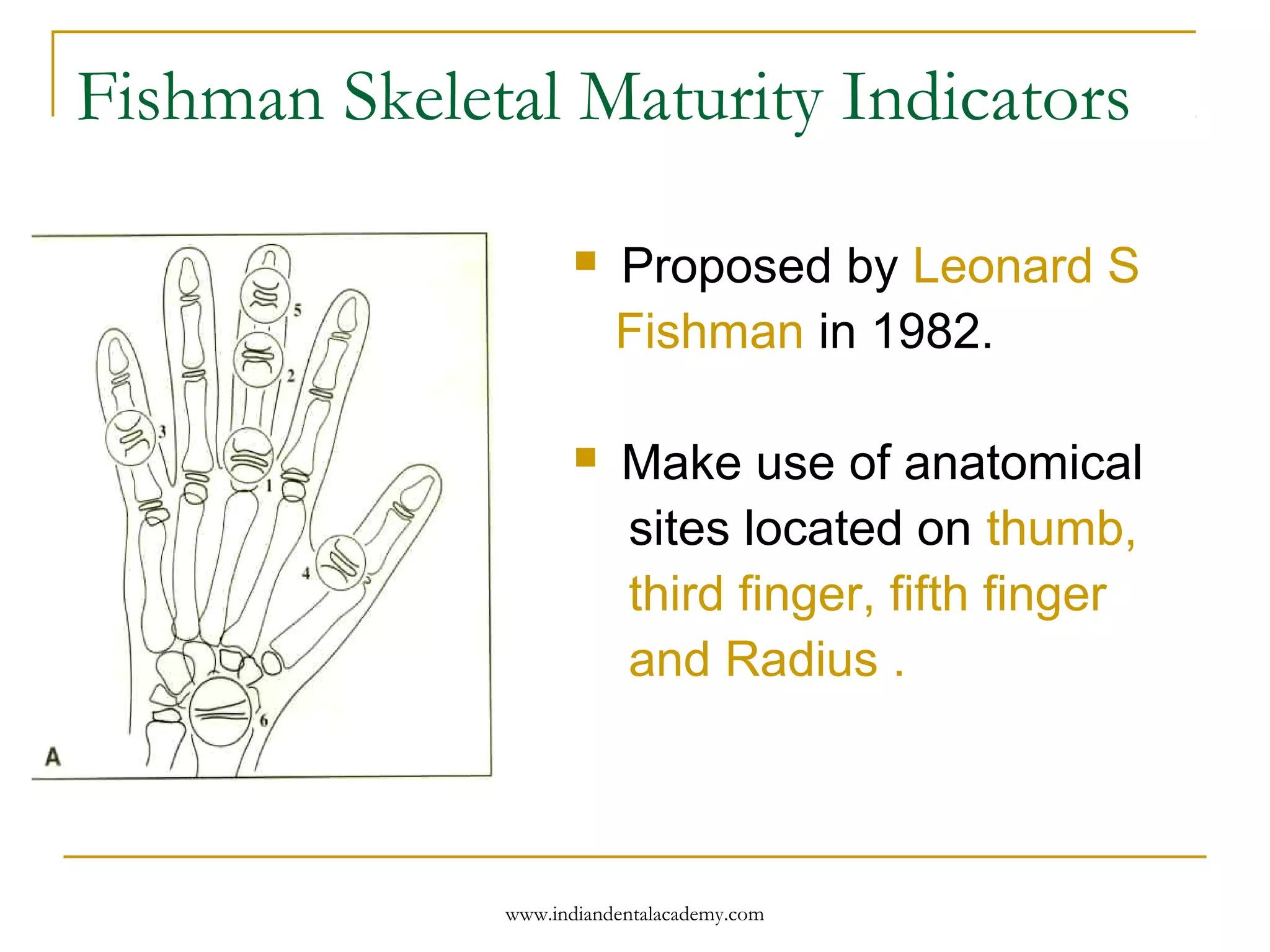 Fishman Skeletal Maturity Indicators
 Proposed by Leonard S
Fishman in 1982.
 Make use of anatomical
sites located on thumb,
third finger, fifth finger
and Radius .
www.indiandentalacademy.com
 