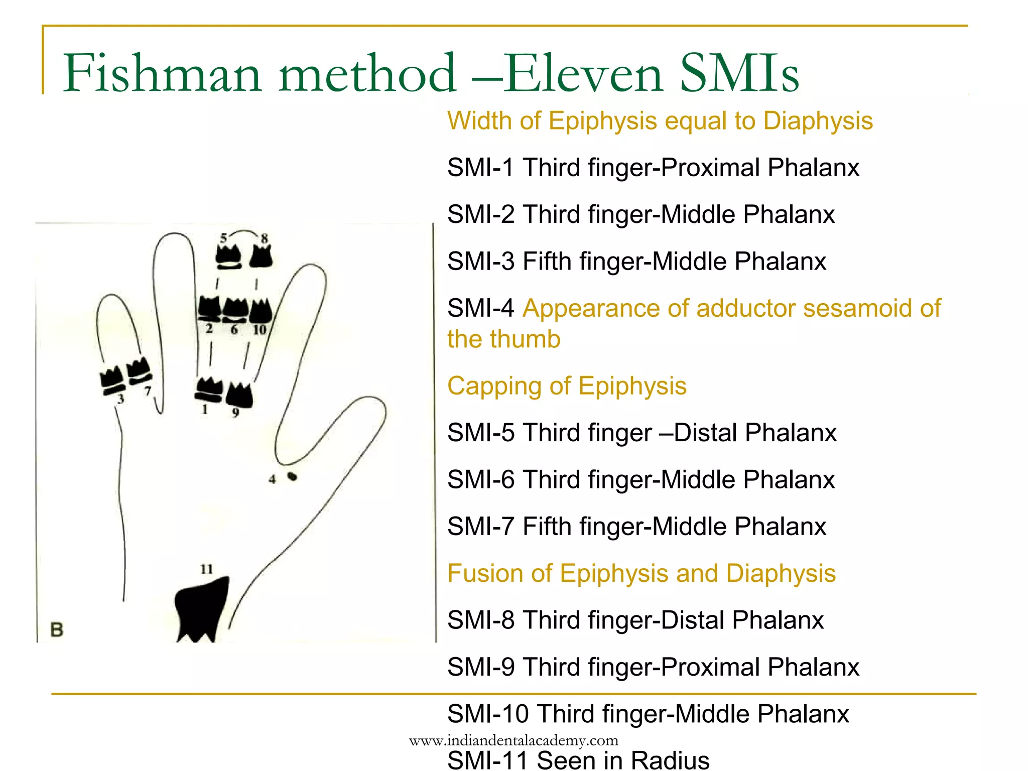 Fishman method –Eleven SMIs
Width of Epiphysis equal to Diaphysis
SMI-1 Third finger-Proximal Phalanx
SMI-2 Third finger-Middle Phalanx
SMI-3 Fifth finger-Middle Phalanx
SMI-4 Appearance of adductor sesamoid of
the thumb
Capping of Epiphysis
SMI-5 Third finger –Distal Phalanx
SMI-6 Third finger-Middle Phalanx
SMI-7 Fifth finger-Middle Phalanx
Fusion of Epiphysis and Diaphysis
SMI-8 Third finger-Distal Phalanx
SMI-9 Third finger-Proximal Phalanx
SMI-10 Third finger-Middle Phalanx
SMI-11 Seen in Radius
www.indiandentalacademy.com
 