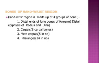  Hand-wrist region is made up of 4 groups of bone ;-
1. Distal ends of long bones of forearm( Distal
epiphysis of Radius and Ulna)
2. Carpals(8 carpal bones)
3. Meta carpals(5 in no)
4. Phalanges(14 in no)
 