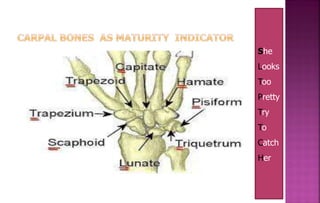 She
Looks
Too
Pretty
Try
To
Catch
Her
 