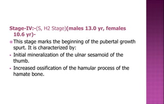 Stage-IV:-(S, H2 Stage)(males 13.0 yr, females
10.6 yr)-
 This stage marks the beginning of the pubertal growth
spurt. It is characterized by:
 Initial mineralization of the ulnar sesamoid of the
thumb.
 Increased ossification of the hamular process of the
hamate bone.
 