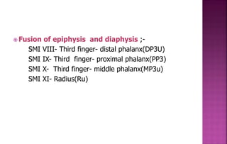  Fusion of epiphysis and diaphysis ;-
SMI VIII- Third finger- distal phalanx(DP3U)
SMI IX- Third finger- proximal phalanx(PP3)
SMI X- Third finger- middle phalanx(MP3u)
SMI XI- Radius(Ru)
 