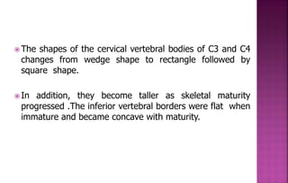  The shapes of the cervical vertebral bodies of C3 and C4
changes from wedge shape to rectangle followed by
square shape.
 In addition, they become taller as skeletal maturity
progressed .The inferior vertebral borders were flat when
immature and became concave with maturity.
 