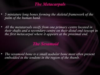 The Metacarpals
• 5 miniature long bones forming the skeletal framework of the
palm of the human hand.
• All the metatarsals ossify from one primary centre located in
their shafts and a secondary centre on their distal end (except in
the first metacarpal where it appears at the proximal end.
The Sesamoid
• The sesamoid bone is a small nodular bone most often present
embedded in the tendons in the region of the thumb.
 