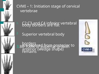 CVMI – 1: Initiation stage of cervical
vertebrae
1. C2,C3 and C4 inferior vertebral
body borders are flat
Superior vertebral body
borders
are tapered from posterior to
anterior (wedge shape)
2
3.80-100% of pubertal growth
remains
 