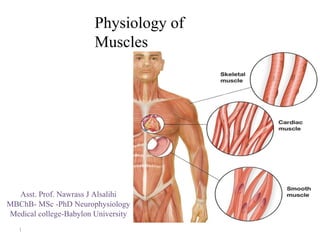 Physiology of
Muscles
Asst. Prof. Nawrass J Alsalihi
MBChB- MSc -PhD Neurophysiology
Medical college-Babylon University
1
 
