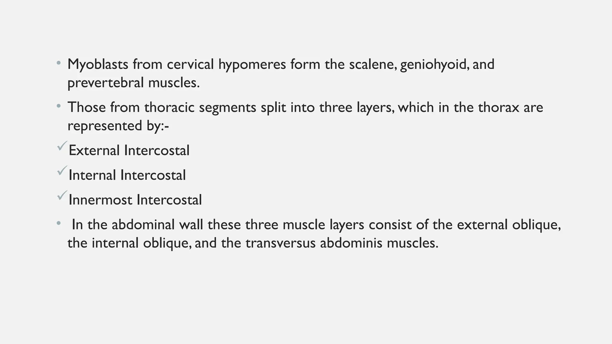 skeletal muscle development of fetus embryonic growth | PPTX