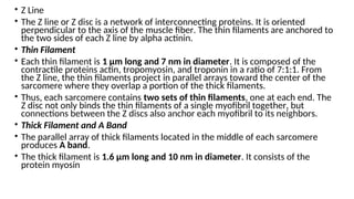 Z Line Definition SKELETAL MUSCLE for anatomy 201 a and b.ppt