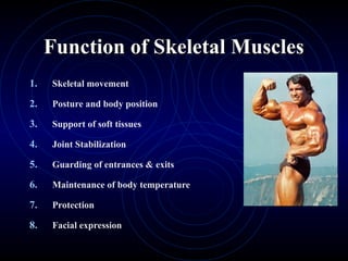 Comprehensive Overview of Skeletal Muscle Structure and Function | PPT