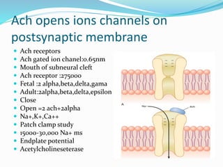 Skeletal muscle excitation by dr mumtaz ali | PPTX