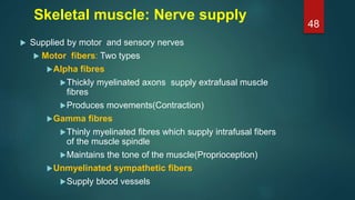 Skeletal muscle: Nerve supply
 Supplied by motor and sensory nerves
 Motor fibers: Two types
Alpha fibres
Thickly myelinated axons supply extrafusal muscle
fibres
Produces movements(Contraction)
Gamma fibres
Thinly myelinated fibres which supply intrafusal fibers
of the muscle spindle
Maintains the tone of the muscle(Proprioception)
Unmyelinated sympathetic fibers
Supply blood vessels
48
 