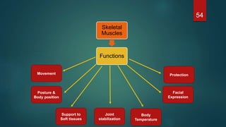 54
Movement
Posture &
Body position
Support to
Soft tissues
Joint
stabilization
Body
Temperature
Skeletal
Muscles
Functions
Facial
Expression
Protection
 