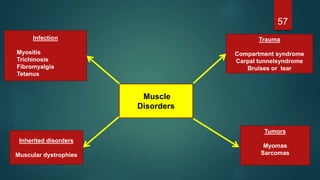 57
Muscle
Disorders
Trauma
Compartment syndrome
Carpal tunnelsyndrome
Bruises or tear
Infection
Myositis
Trichinosis
Fibromyalgia
Tetanus
Inherited disorders
Muscular dystrophies
Tumors
Myomas
Sarcomas
 