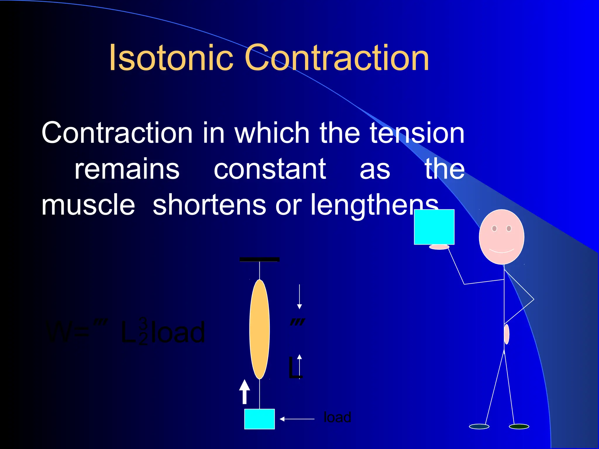 Isotonic Contraction
Contraction in which the tension
remains constant as the
muscle shortens or lengthens
W=Lload 
L
load
 