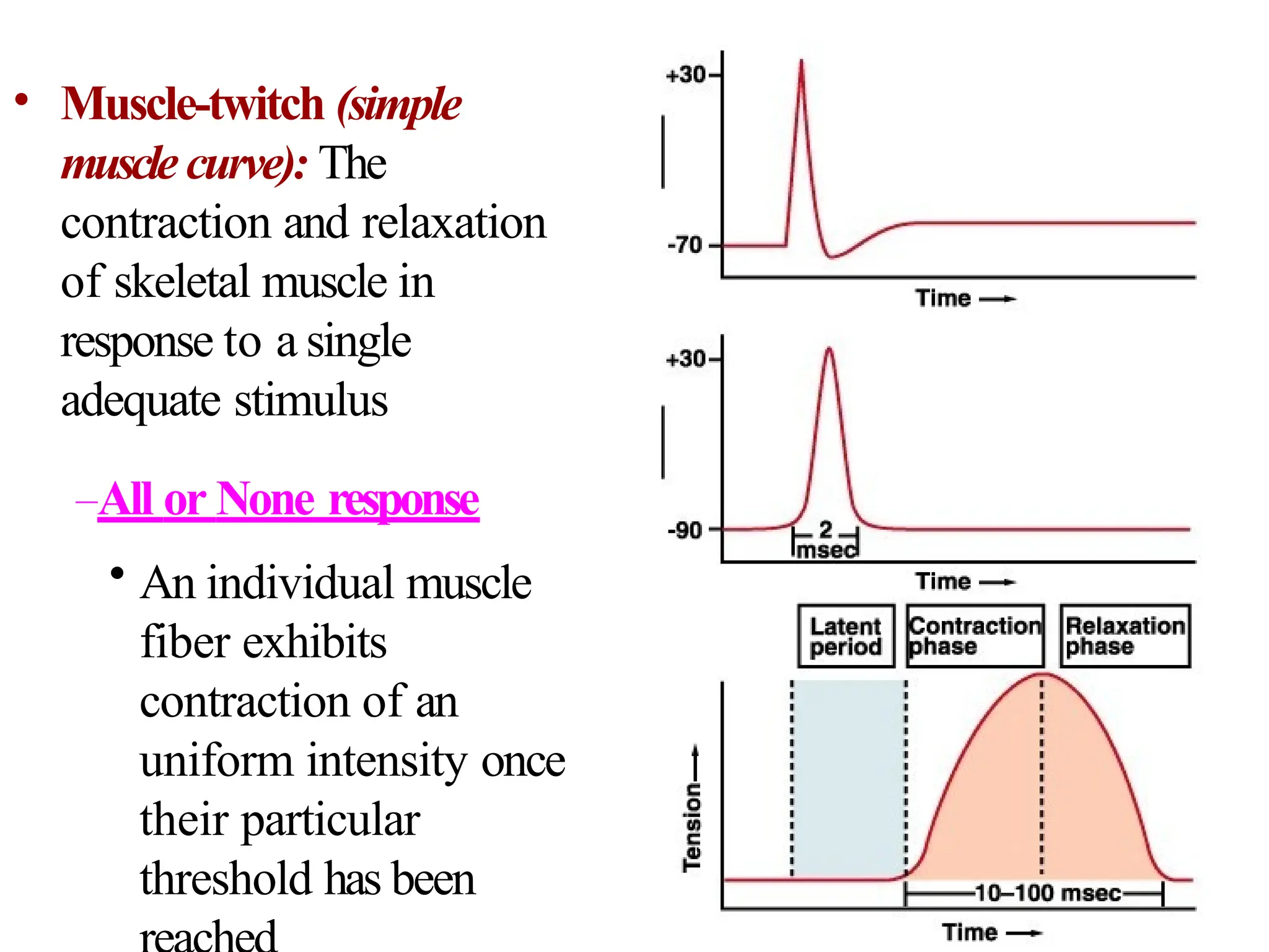 • Muscle-twitch (simple
musclecurve): The
contraction and relaxation
of skeletal muscle in
response to a single
adequate stimulus
–All or None response
• An individual muscle
fiber exhibits
contraction of an
uniform intensity once
their particular
threshold has been
 