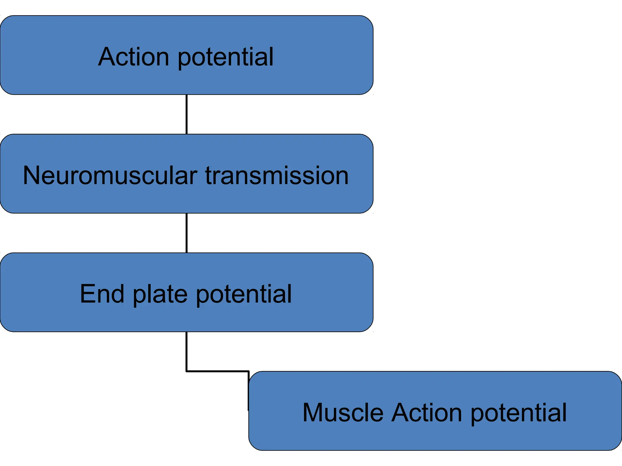 Action potential
Neuromuscular transmission
End plate potential
Muscle Action potential
 