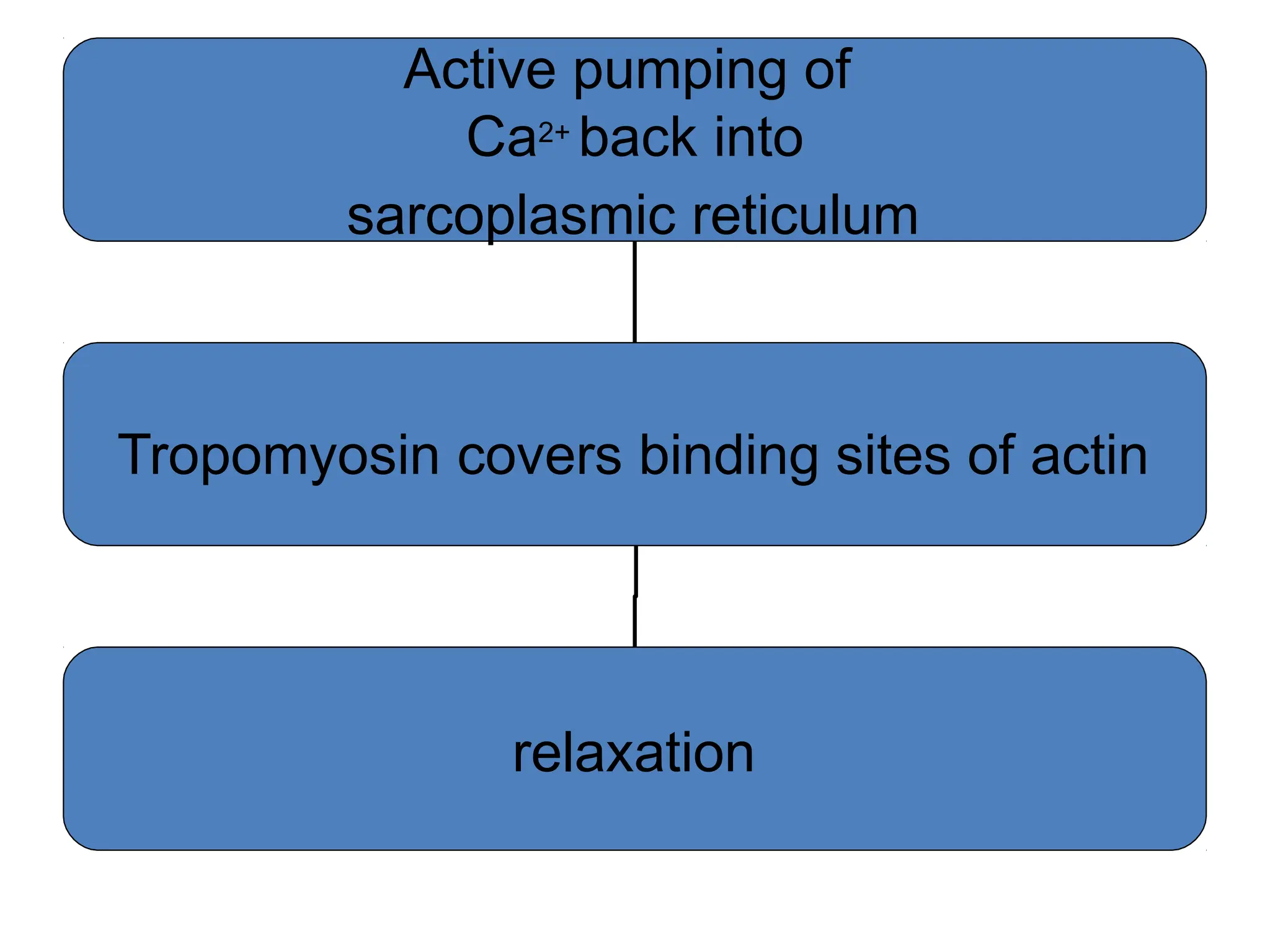 Active pumping of
Ca2+ back into
sarcoplasmic reticulum
Tropomyosin covers binding sites of actin
relaxation
 