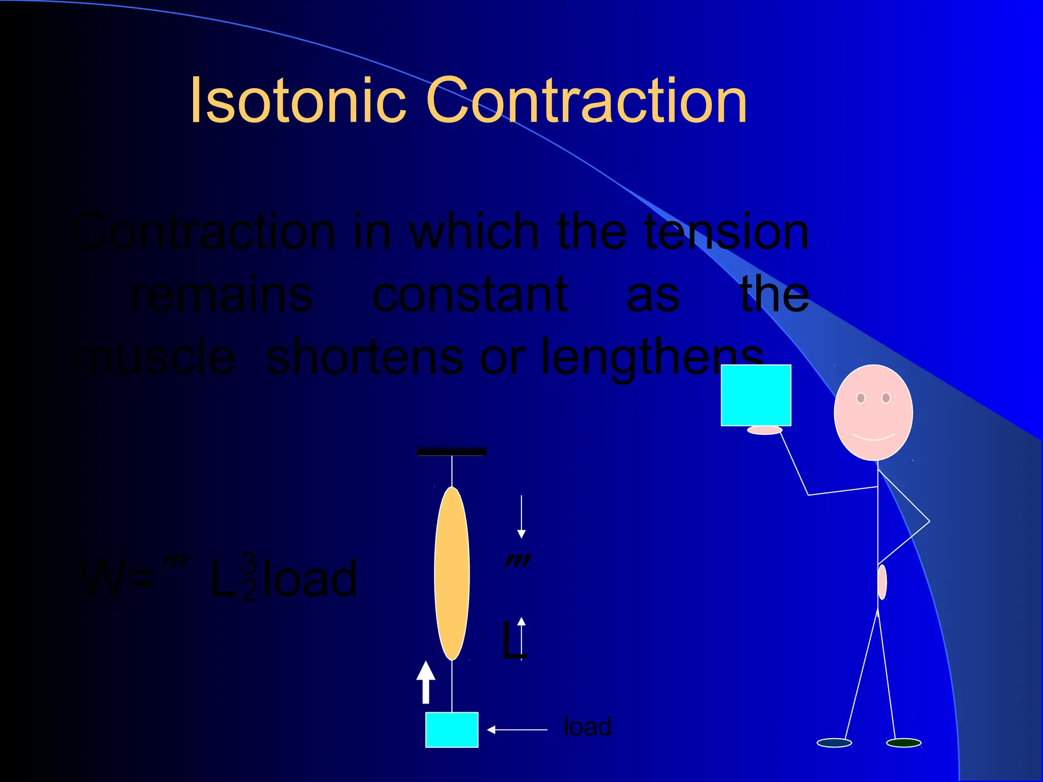 Isotonic Contraction
Contraction in which the tension
remains constant as the
muscle shortens or lengthens
W=Lload 
L
load
 