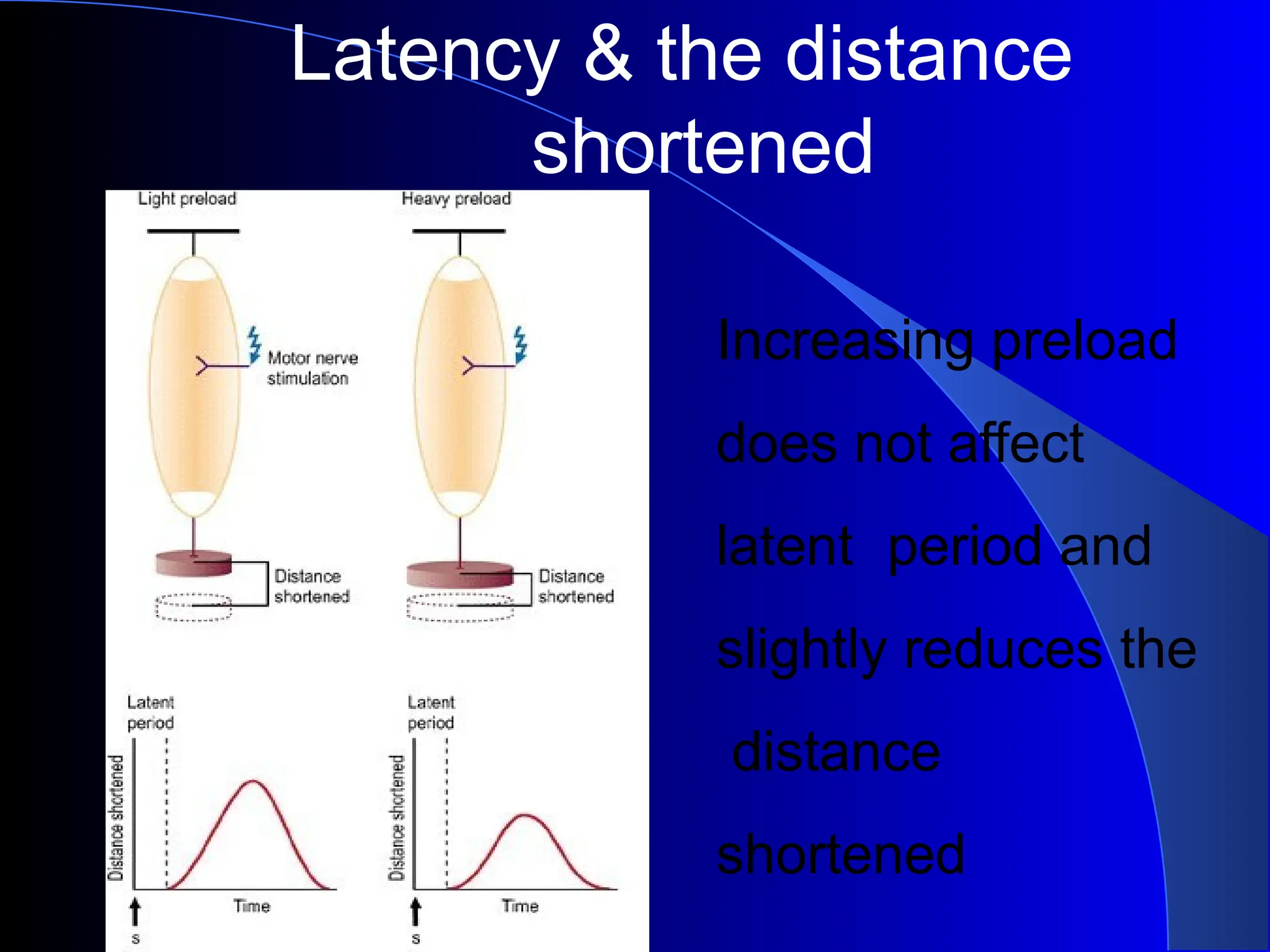 Increasing preload
does not affect
latent period and
slightly reduces the
distance
shortened
Latency & the distance
shortened
 