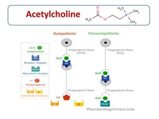 Skeletal Muscle Relaxants | PPTX