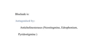 Skeletal muscle relaxants & Spasmolytics dr abdul azeem | PPTX