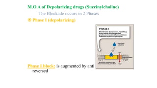 Skeletal muscle relaxants & Spasmolytics dr abdul azeem | PPTX
