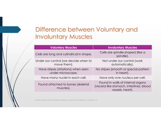 Not Voluntary Comprehensive Overview of Skeletal Muscles: Structure, Function, and ...