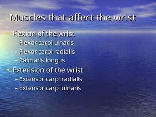 • Flexion of the wrist
Flexion of the wrist
– Flexor carpi ulnaris
Flexor carpi ulnaris
– Flexor carpi radialis
Flexor carpi radialis
– Palmaris longus
Palmaris longus
• Extension of the wrist
Extension of the wrist
– Extensor carpi radialis
Extensor carpi radialis
– Extensor carpi ulnaris
Extensor carpi ulnaris
Muscles that affect the wrist
Muscles that affect the wrist
 