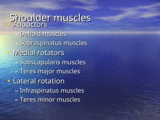 • Adductors
Adductors
– Deltoid muscles
Deltoid muscles
– Supraspinatus muscles
Supraspinatus muscles
• Medial rotators
Medial rotators
– Subscapularis muscles
Subscapularis muscles
– Teres major muscles
Teres major muscles
• Lateral rotation
Lateral rotation
– Infraspinatus muscles
Infraspinatus muscles
– Teres minor muscles
Teres minor muscles
Shoulder muscles
Shoulder muscles
 