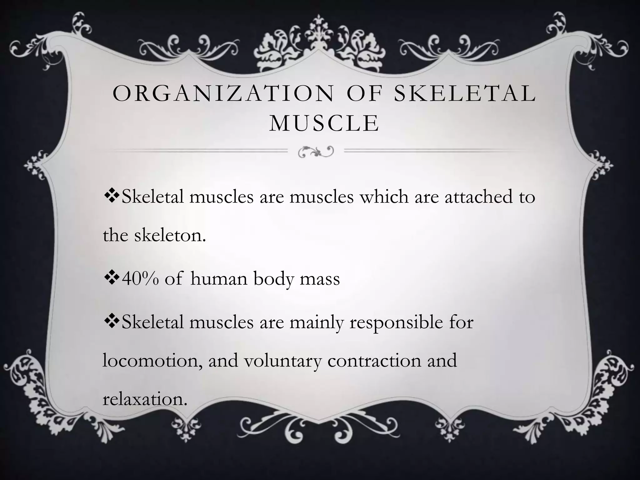 skeletal muscles physical and chemical changes during muscle ...