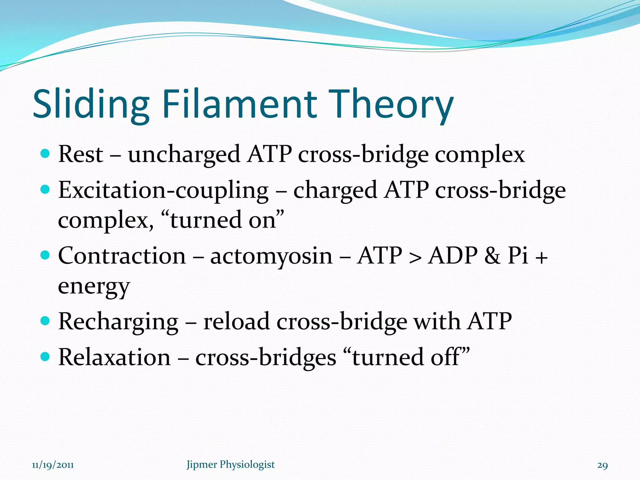 Sliding Filament Theory
 Rest – uncharged ATP cross-bridge complex
 Excitation-coupling – charged ATP cross-bridge
complex, “turned on”
 Contraction – actomyosin – ATP > ADP & Pi +
energy
 Recharging – reload cross-bridge with ATP
 Relaxation – cross-bridges “turned off”
11/19/2011 29Jipmer Physiologist
 